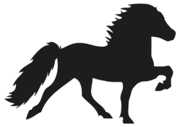 Autosticker IJslander, Tölter