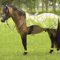 Uitrij-deken REFLECTEREND Equest