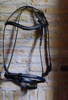 "Shiny" Silver Hoofdstel gecombineerd Westeind