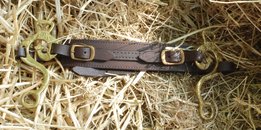 Hackamore met Alta Escuela scharen Westeind