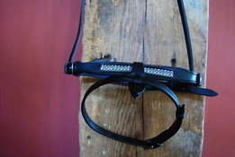 Gecombineerde neusriem met glitter Westeind