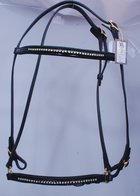 "Shiny" Gold Hoofdstel Westeind