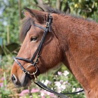 IJslander hoofdstel gecombineerde neusriem  / flash noseband
