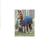 Spirit Brighton polyester deken met fleecevoering