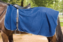 Uitrijdeken fleece