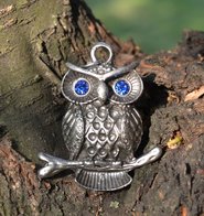 Uil der wijsheid, hanger