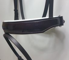 Westeind Special Neusriem