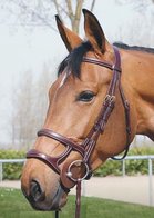 Westeind Double Anatomic Hoofdstel