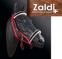 Rijhalster Zaldi
