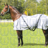 Zomerdeken Jeans Imperial Riding