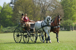 Dubbelspantuig York Imperial Riding