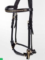 IJslander hoofdstel Saga