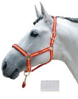 Spaans halster Zaldi