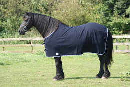 Wollen deken met Friese bies