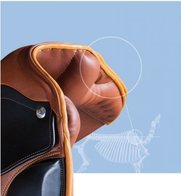 Anatomic panel / Anatomische kussens