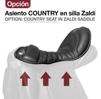 Country seat, Ribzit  in Zaldi zadel