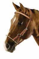 Side pull, bitlooshoofdstel