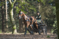 Marathontuig Devon Imperial Riding, zwart